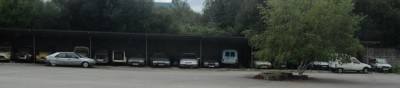 IMG_9009m.jpg