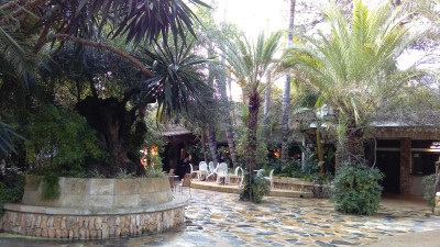 2016-03-15 16.31.32.jpg