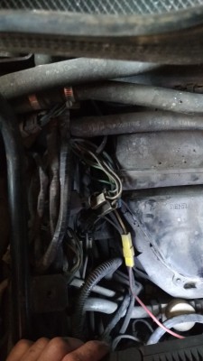 IMG-20180531-WA0037.jpeg